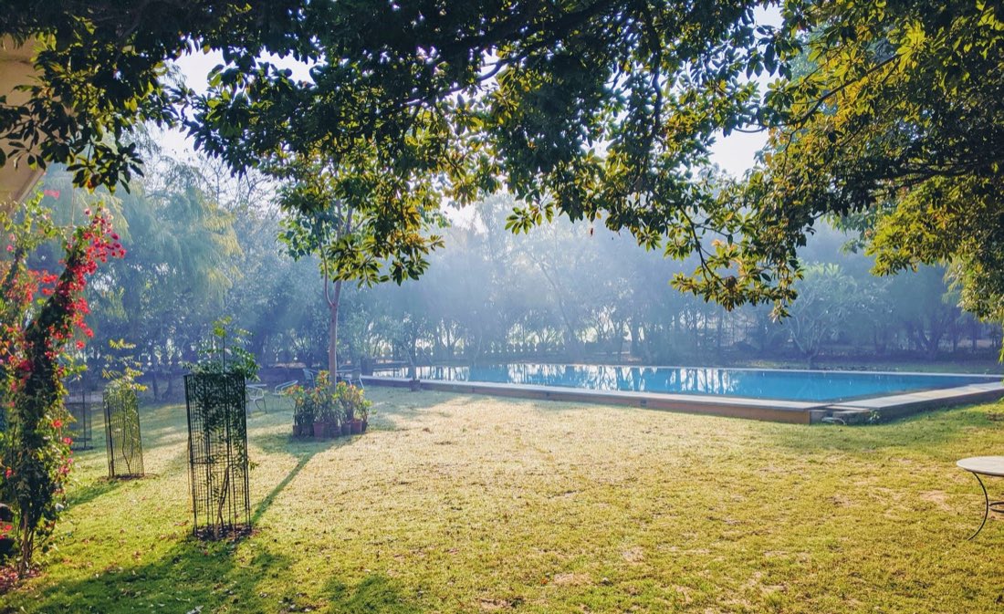 Morning mist over the farm