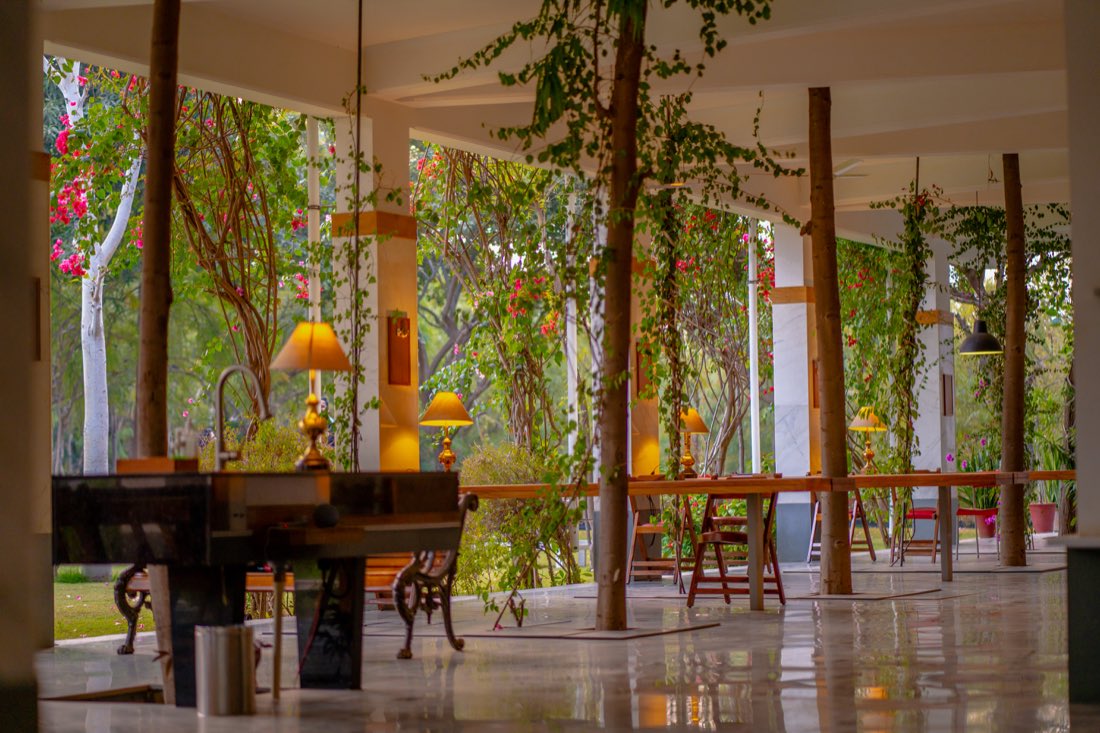 The open dining pavilion among the trees, built with obsession — PushkarOrganic