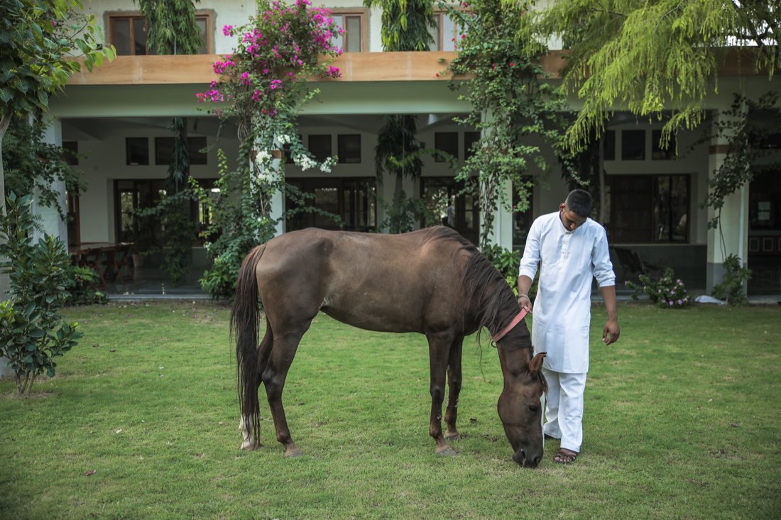 Udai with horse on the front lawn